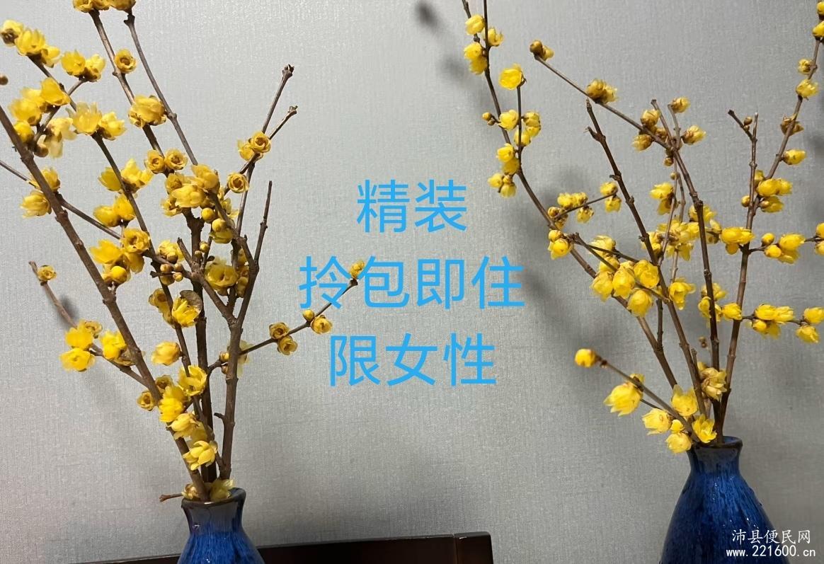出租盛世锦园小区2室1厅1卫97平米290元/月住宅